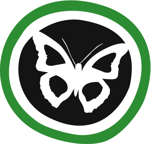 Schmetterling grn