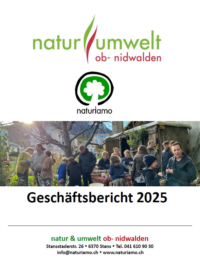 Geschäftsbericht 2025