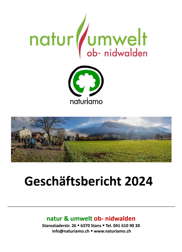 Geschäftsbericht 2024